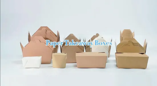 Customized Plain White/Kraft Pasta Food Packaging Paper Packaging Fast Food Packing