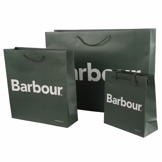 Sac de papier de cadeau de luxe de sac de cadeau de papier d'achats de bijoux imprimés par coutume avec le bronzage de logo