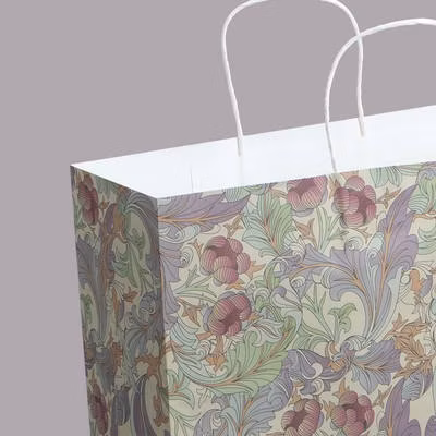 Emballage d'épicerie au détail biodégradable recyclé, emballage de restauration rapide sur mesure, vêtements à emporter, sac en papier Kraft